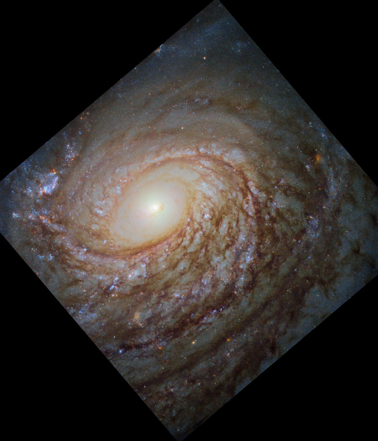HST image of the central portion of spiral galaxy NGC 772