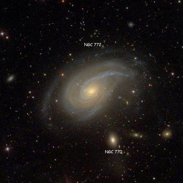 SDSS image of region near spiral galaxy NGC 772, also showing its companion NGC 770, which are collectively known as Arp 78