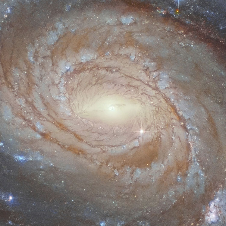 HST image of central region of spiral galaxy NGC 7753