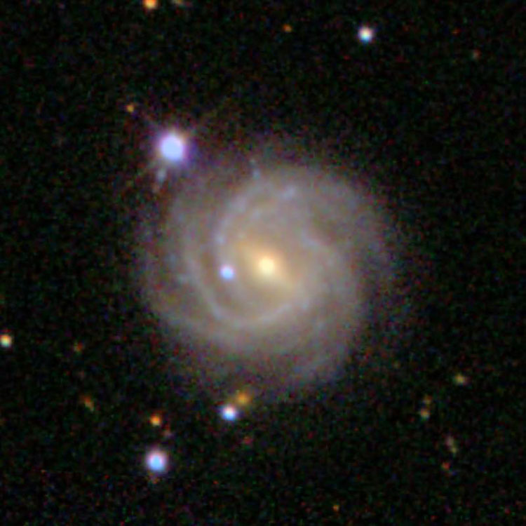 SDSS image of spiral galaxy NGC 7773