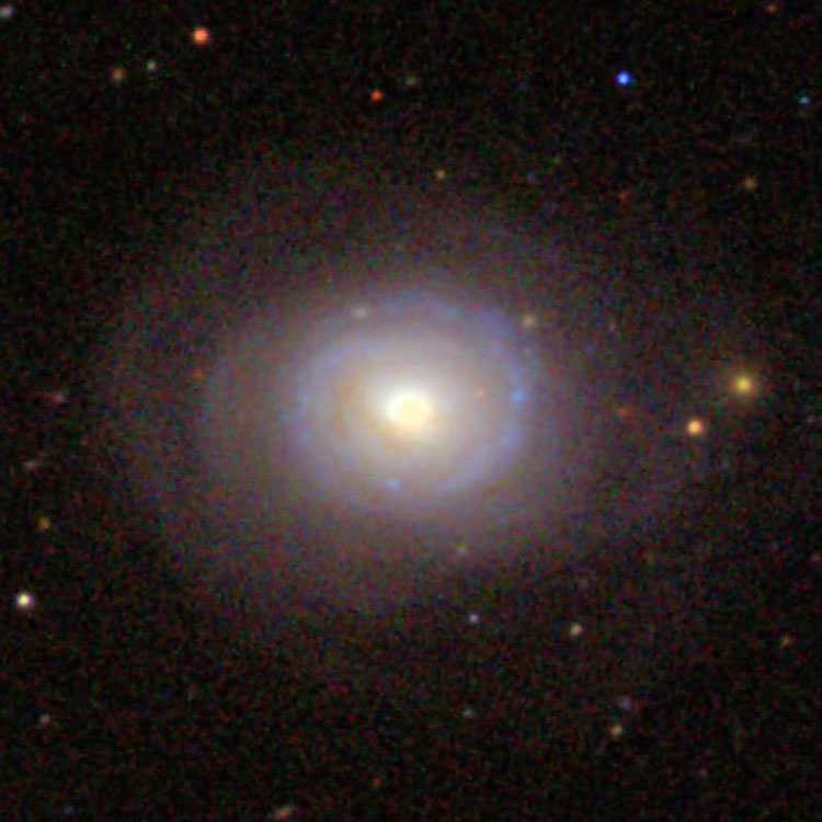SDSS image of spiral galaxy NGC 787