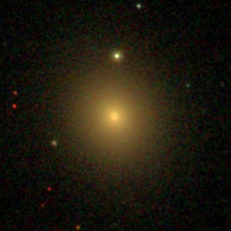 SDSS image of elliptical galaxy NGC 791