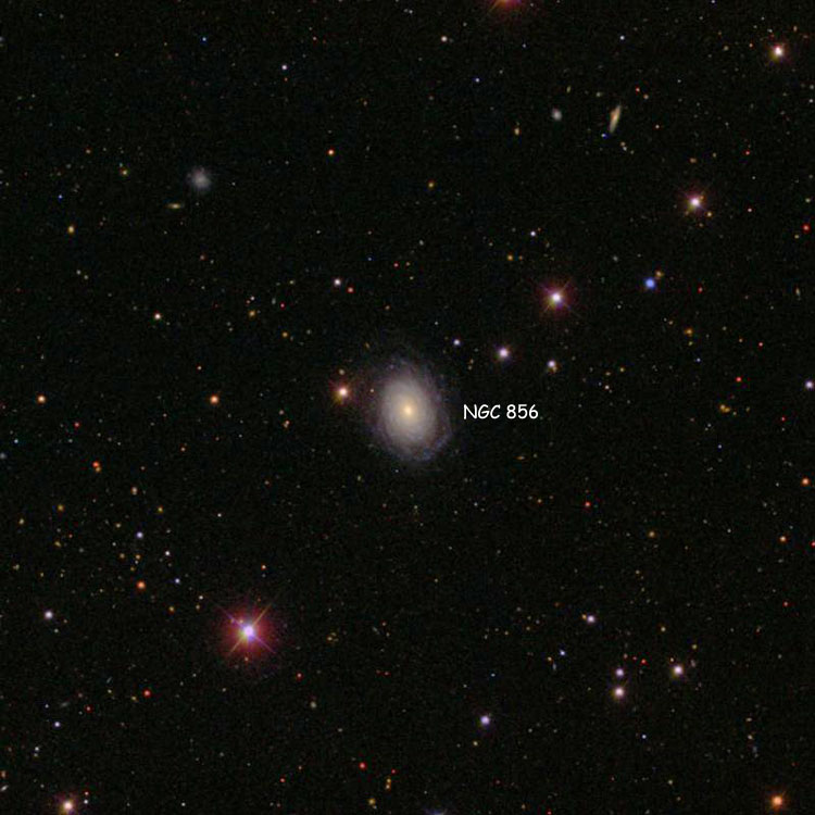 SDSS image of region near spiral galaxy NGC 856