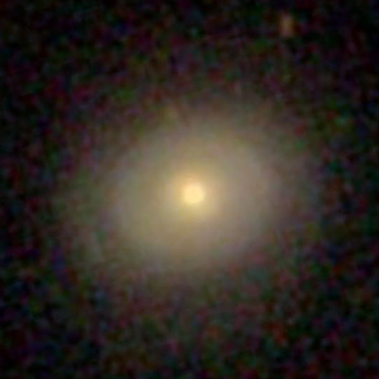 SDSS image of lenticular galaxy NGC 860