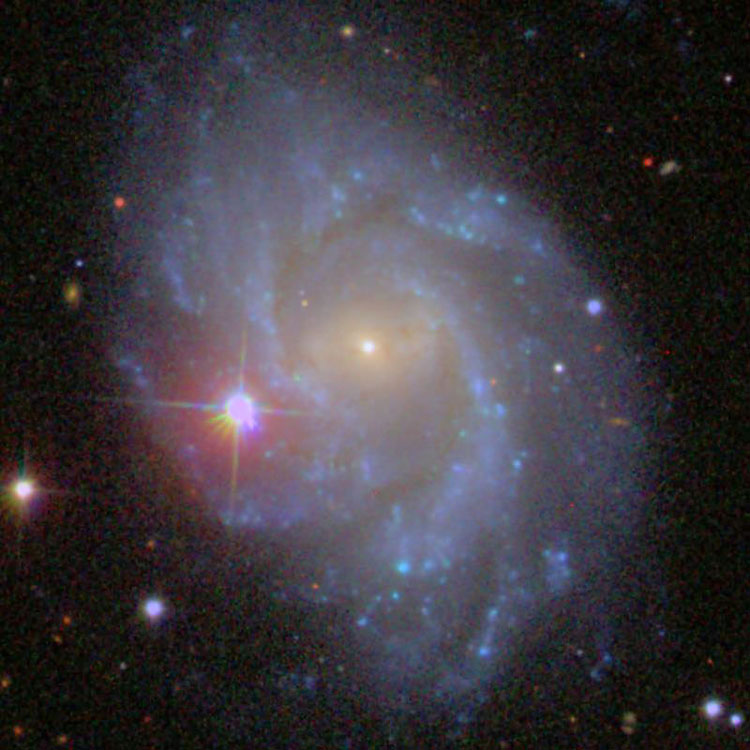 SDSS image of spiral galaxy NGC 864