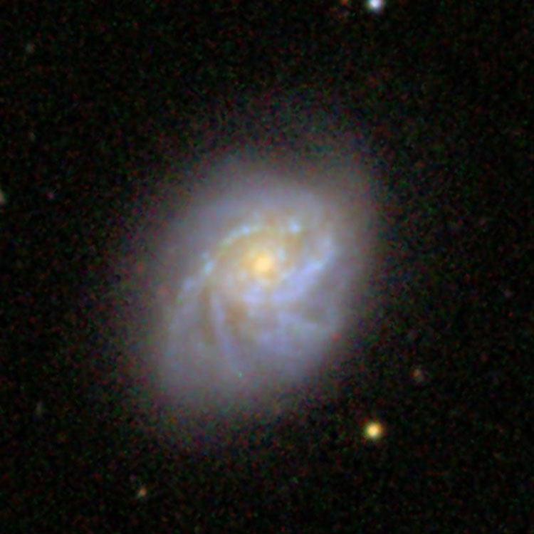 SDSS image of spiral galaxy NGC 873