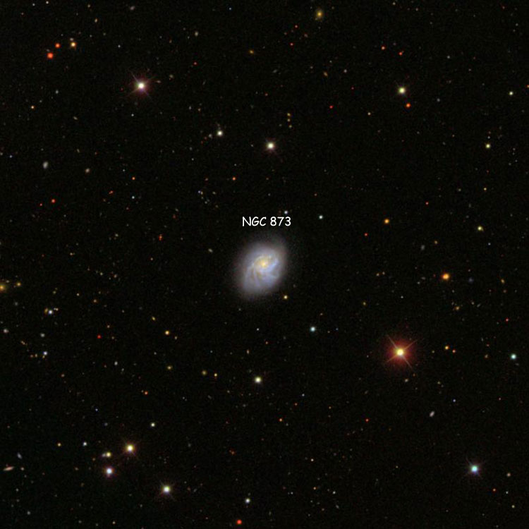 SDSS image of region near spiral galaxy NGC 873