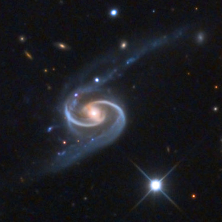 SDSS image of spiral galaxy NGC 90, also known as Arp 65