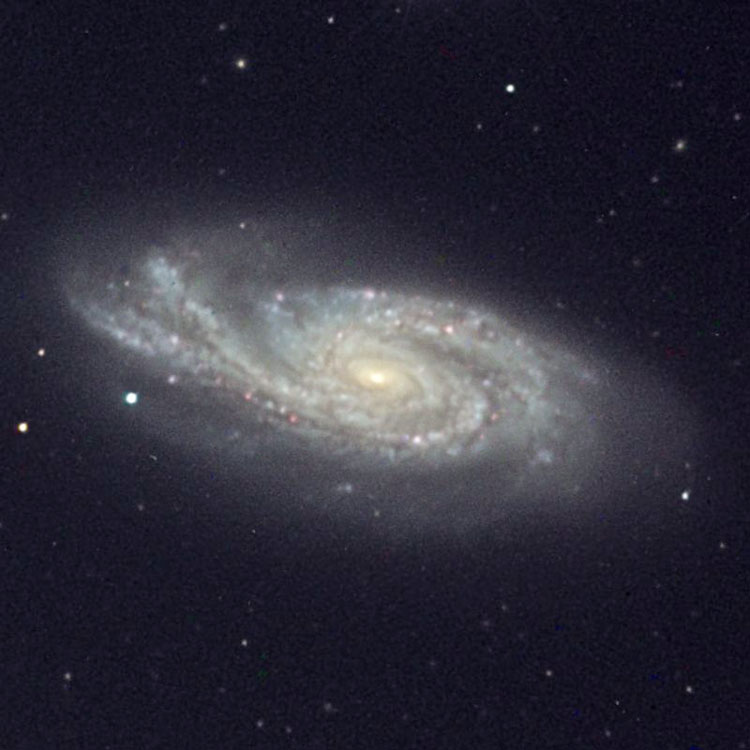 NOAO image of spiral galaxy NGC 908