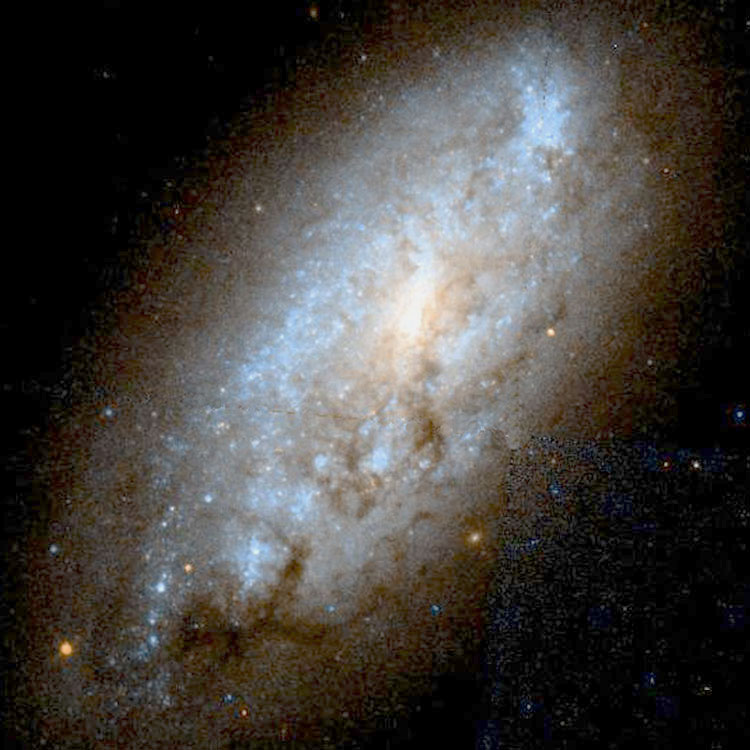 Partially processed 'raw' HST image of central regions in spiral galaxy NGC 949