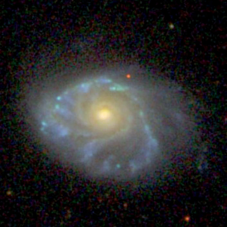 SDSS image of spiral galaxy NGC 95