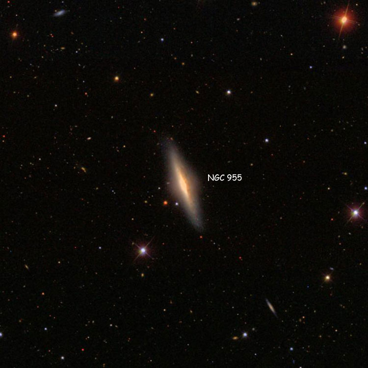 SDSS image of region near spiral galaxy NGC 955