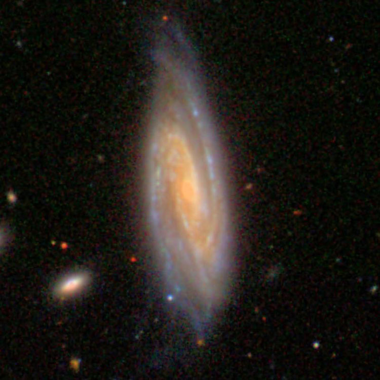 SDSS image of spiral galaxy NGC 958