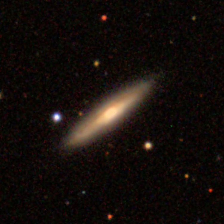 SDSS image of spiral galaxy NGC 960