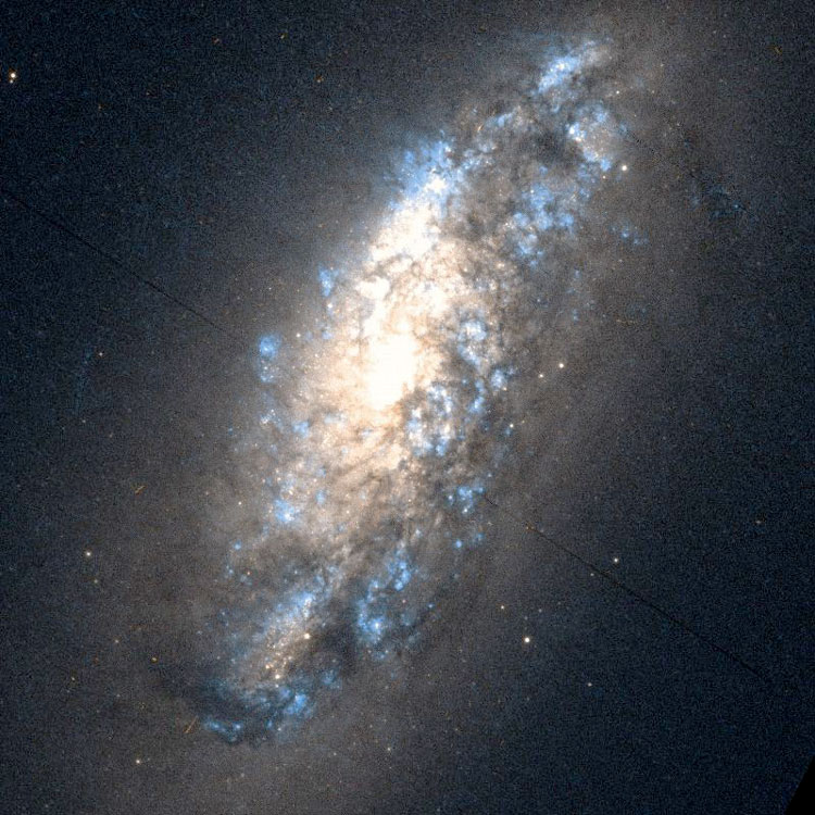Partially processed 'raw' HST image of central portion of spiral galaxy NGC 972