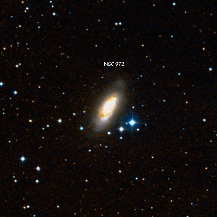 DSS image of region near spiral galaxy NGC 972