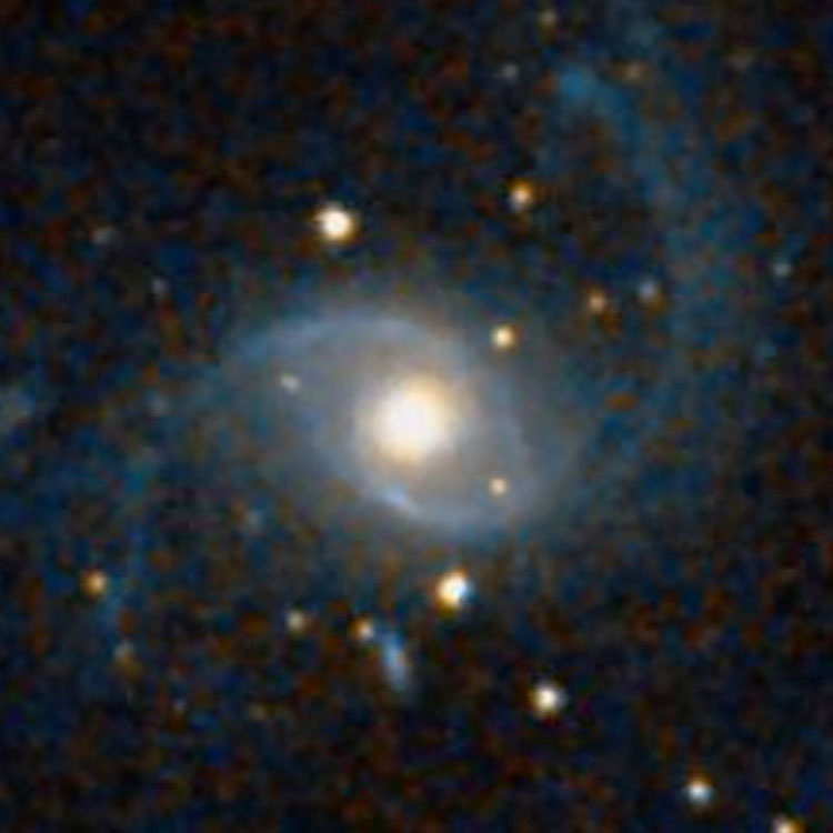 DSS image of spiral galaxy NGC 974