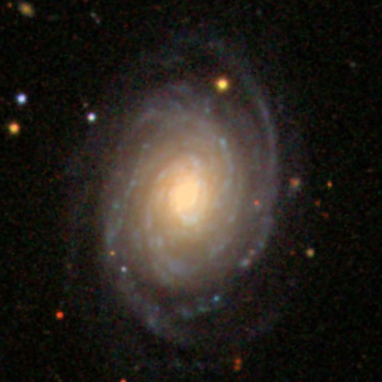 SDSS image of spiral galaxy NGC 976