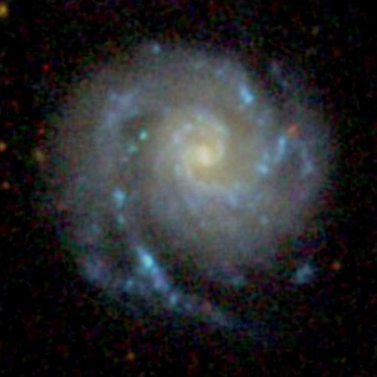 SDSS image of spiral galaxy NGC 99