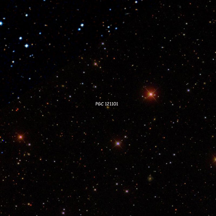 SDSS image of region near ? galaxy PGC 121101