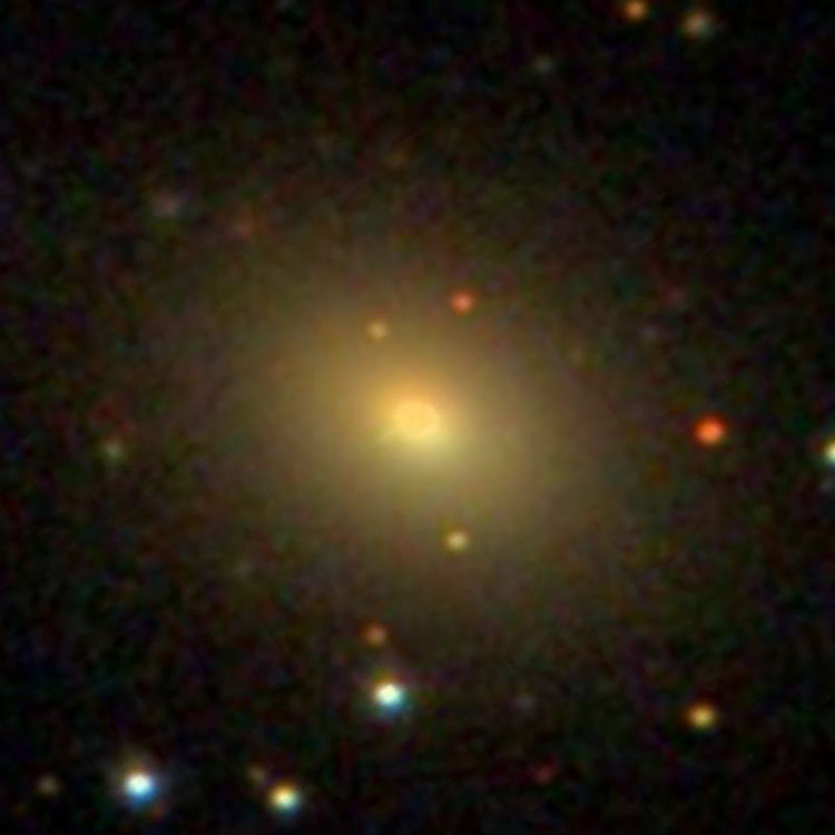 SDSS image of elliptical galaxy PGC 12254, which is sometimes misidentified as NGC 1264