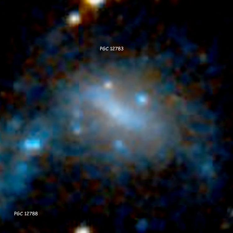DSS image of spiral galaxy PGC 12783 and the western end of spiral galaxy PGC 12788