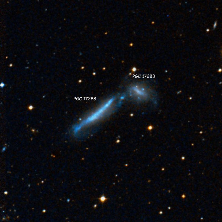 DSS image of region near spiral galaxies PGC 12783, also known as NGC 1326A, and PGC 12788, also known as NGC 1326B