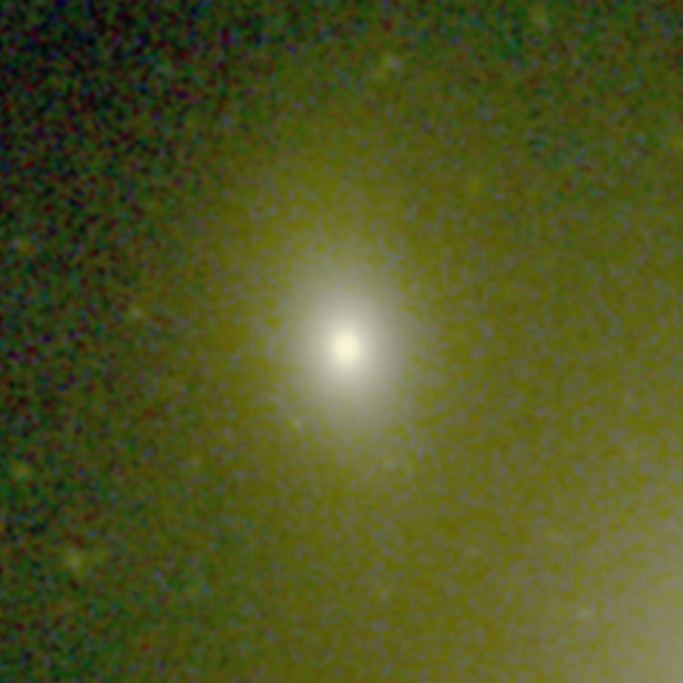 Carnegie-Irvine Galaxy Survey image of elliptical galaxy PGC 129874