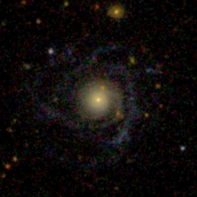 SDSS image of spiral galaxy PGC 135657
