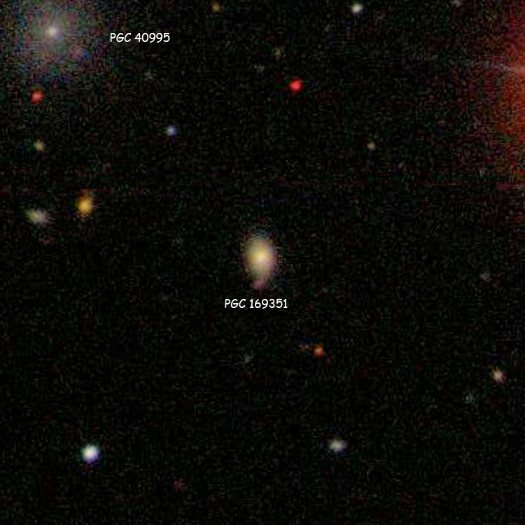 SDSS image of PGC 169351
