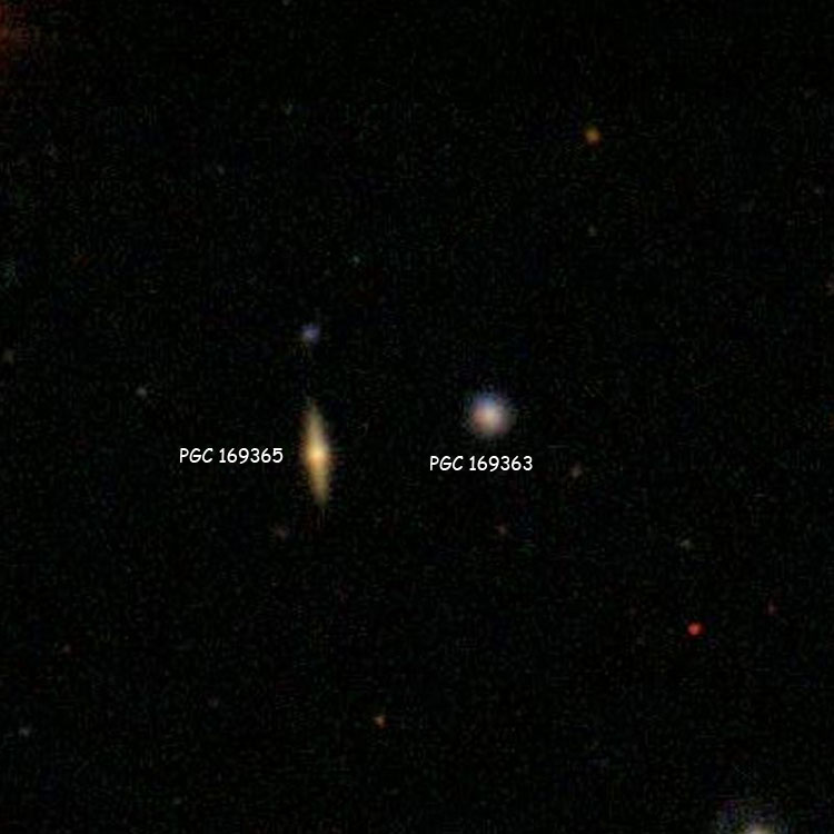 SDSS image of PGC 169363 and 169365