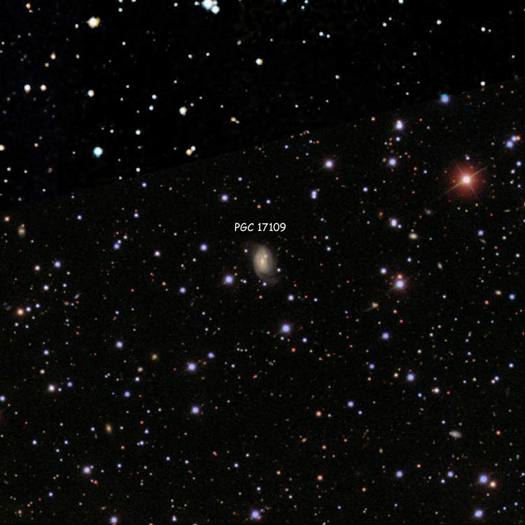 SDSS image of region near spiral galaxy PGC 17109 and its apparent lenticular companion, collectively known as Arp 52, overlaid on a DSS background to fill in missing areas