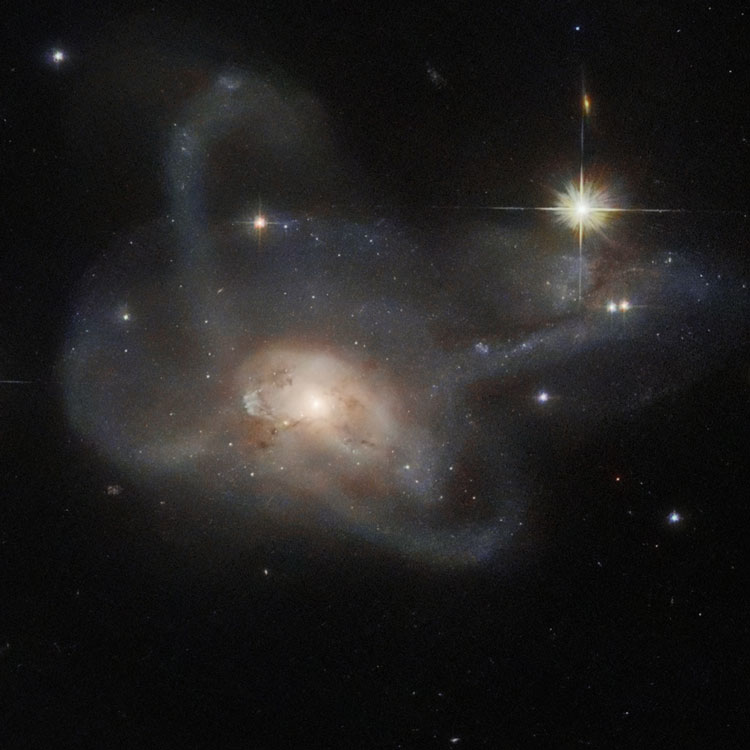 HST image of peculiar lenticular galaxy PGC 17532