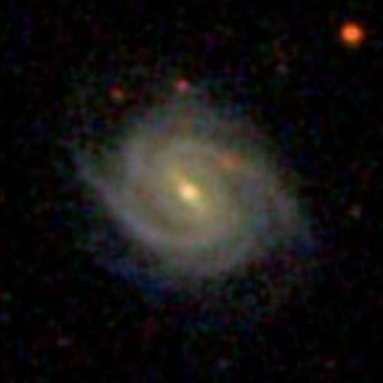 SDSS image of spiral galaxy PGC 1934, also known as HCG 2d