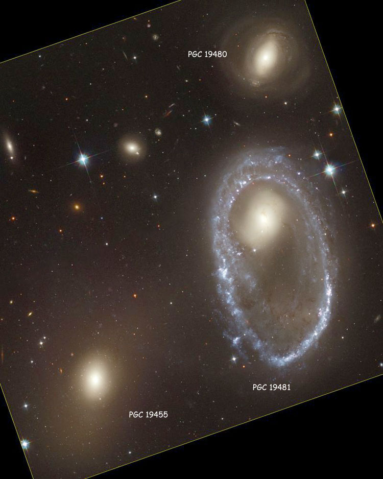 HST image of region near ring galaxy PGC 19481, also known as the Lindsay-Shapley Ring, also showing lenticular galaxies PGC 19455 and 19480