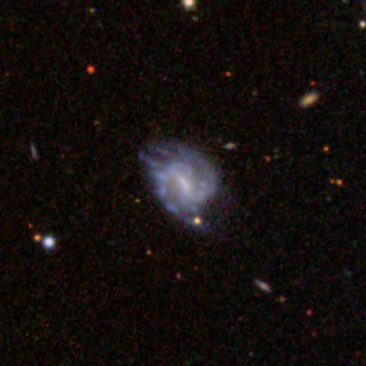 SDSS image of spiral galaxy PGC 24409, which may be the otherwise lost NGC 2637