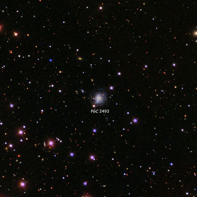 SDSS image of region near spiral galaxy PGC 2493, usually misidentified as NGC 218