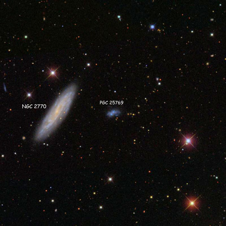 SDSS image of region near irregular galaxy PGC 25769, sometimes called NGC 2770A or NGC 2770B, also showing NGC 2770