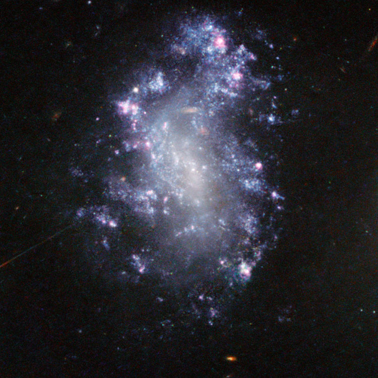 HST image of irregular galaxy PGC 36867, which is often misidentified as IC 737