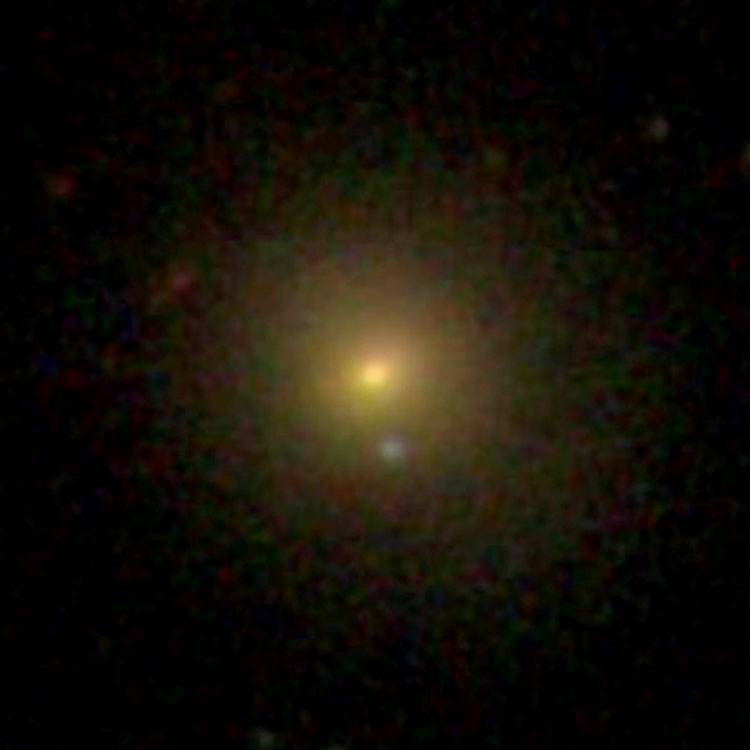 SDSS image of elliptical galaxy PGC 36967, which may be NGC 3908