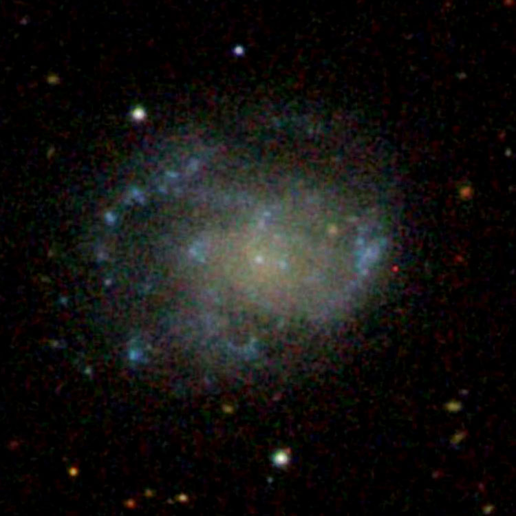 SDSS image of spiral galaxy PGC 37217, which is often misidentified as NGC 3924
