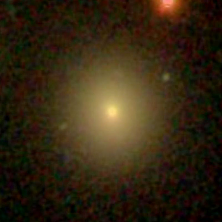 SDSS image of elliptical galaxy PGC 38387, a possible companion of NGC 4104