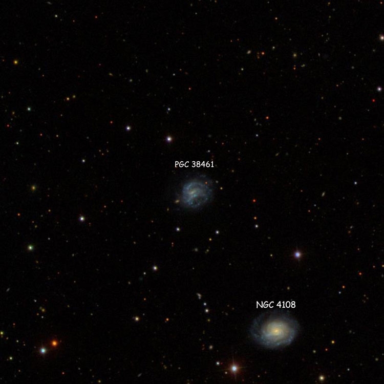SDSS image of region near spiral galaxy PGC 38461, which is sometimes called NGC 4108B, also showing NGC 4108