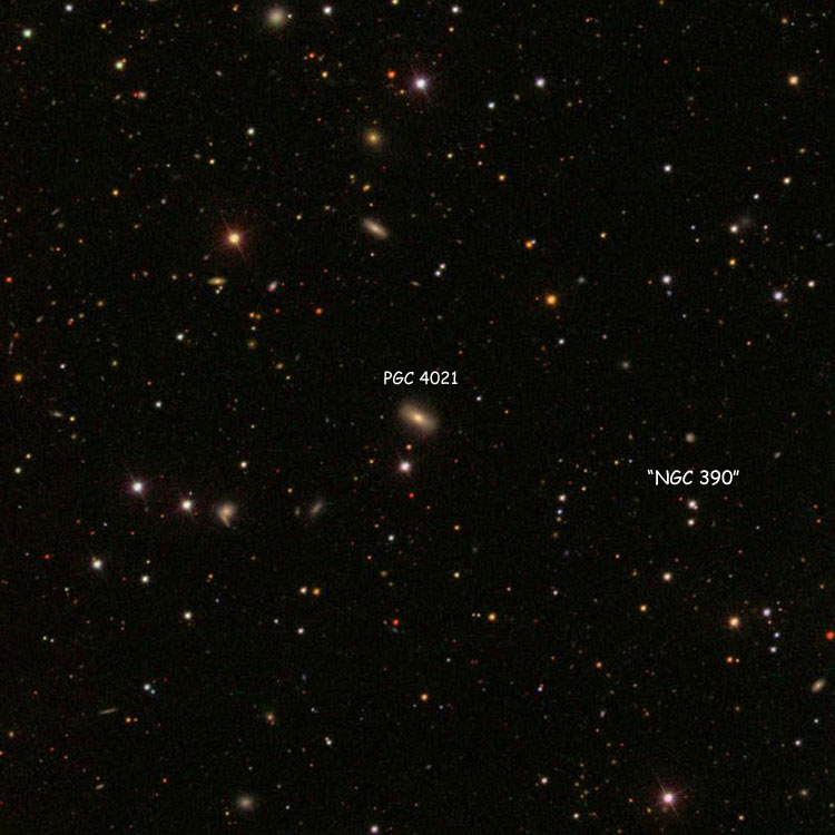 SDSS image of region near lenticular galaxy PGC 4021, which is sometimes misidentified as NGC 390; also shown is the star actually listed as NGC 390