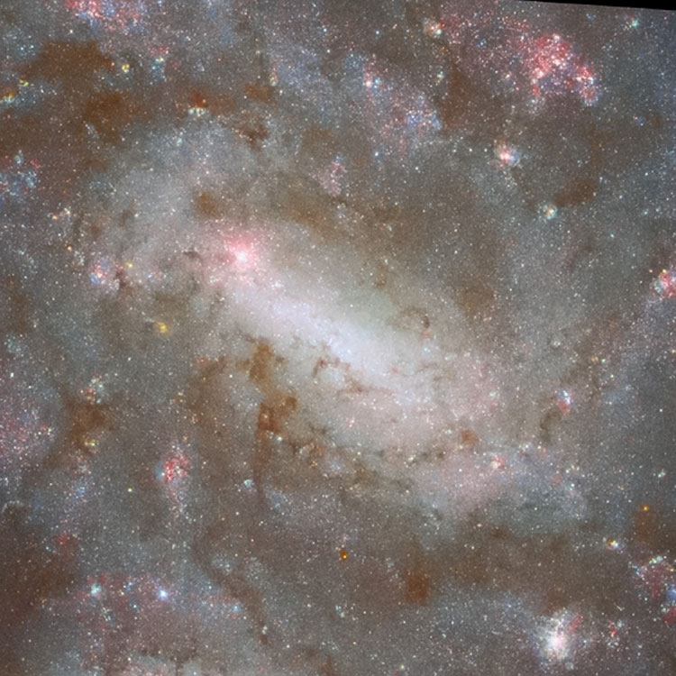 HST image of the central portion of ? galaxy PGC 41471 (often called NGC 4496A), which is the foreground member of the optical double listed as NGC 4496