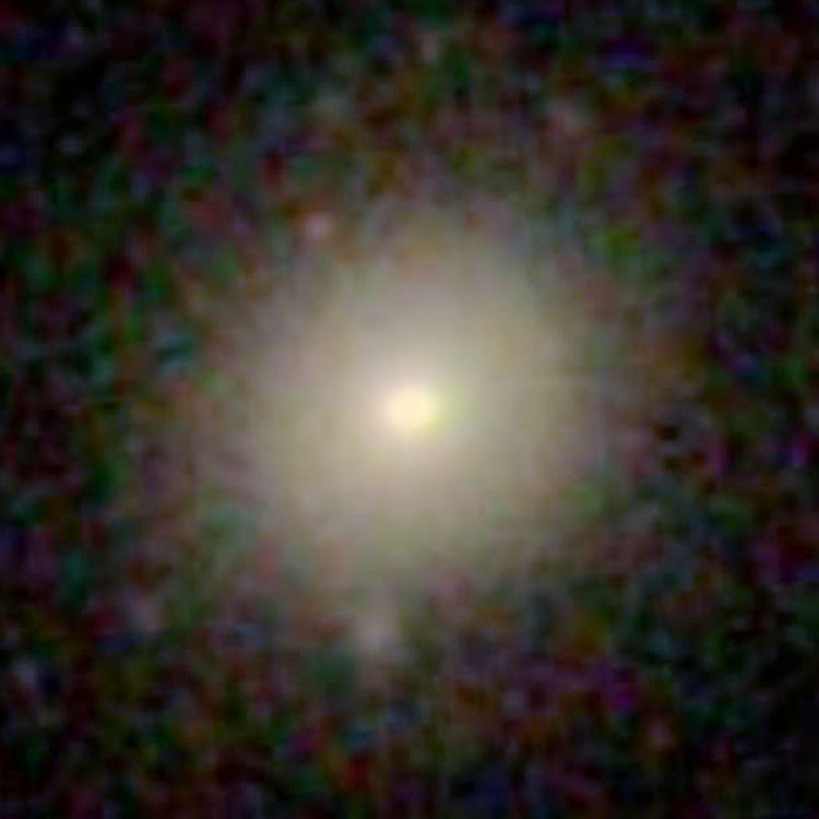 High-contrast SDSS image of elliptical galaxy PGC 44162, which is sometimes misidentified as NGC 4824