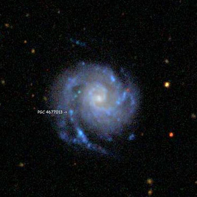 SDSS image of NGC 99, showing putative PGC 4677013