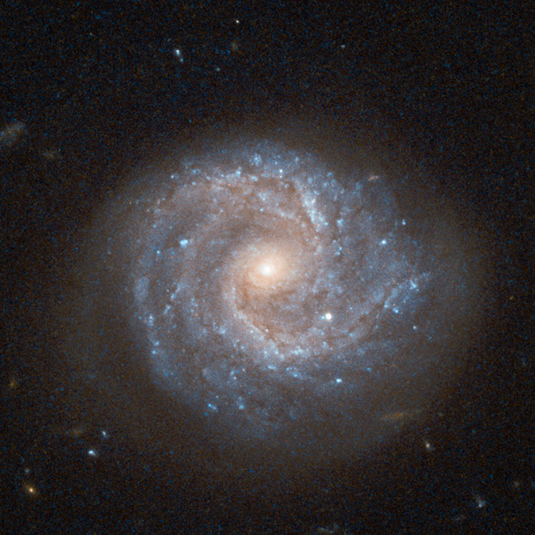 HST image of spiral galaxy PGC 52112, enhanced to show fainter outer regions