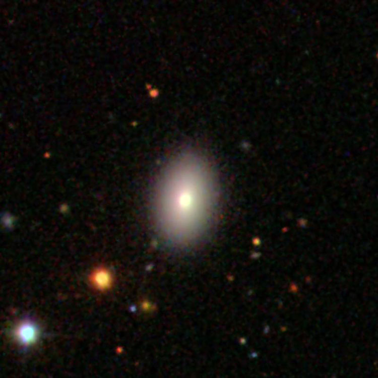 SDSS image of lenticular galaxy PGC 56301, sometimes called NGC 6008B