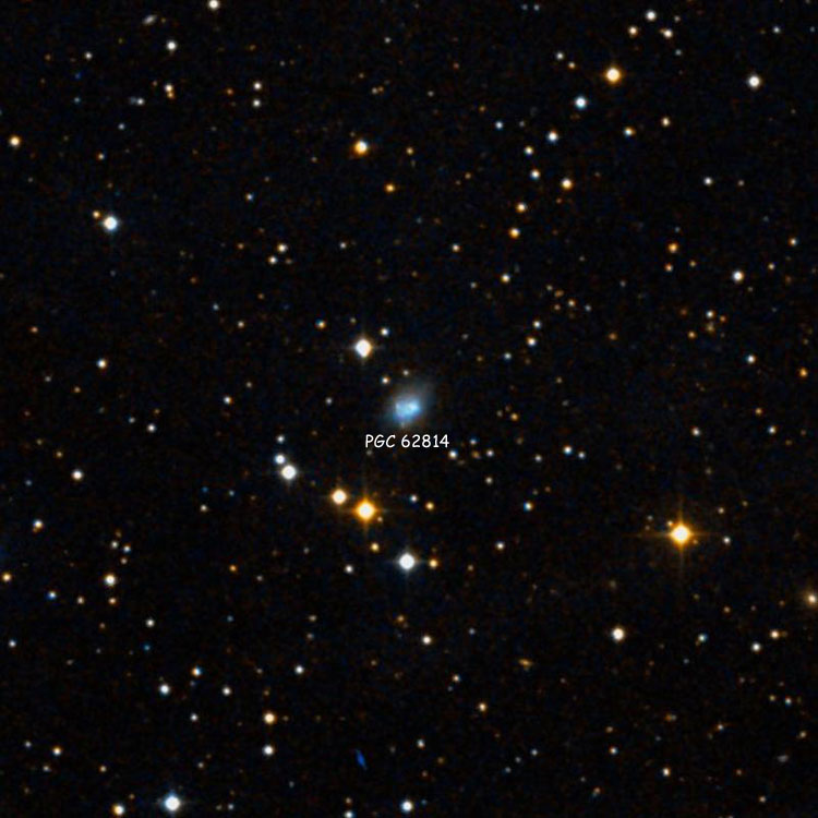 SDSS image of region near irregular blue compact galaxy PGC 62814
